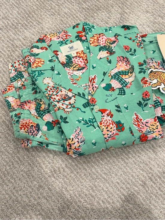 Printfresh Other - Printfresh Christmas hens pajamas, long sleeve